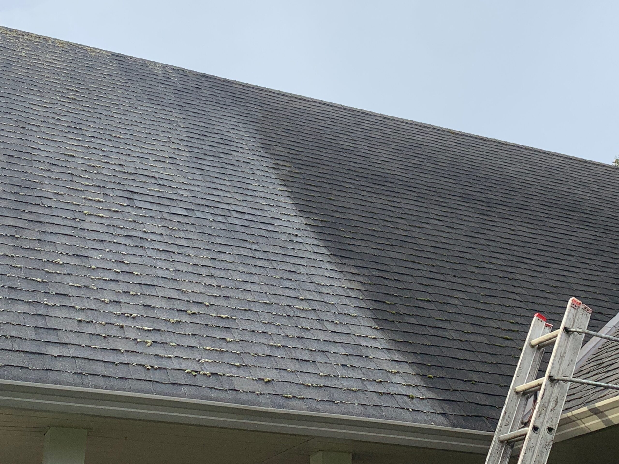 Roof treatment in progress Comox